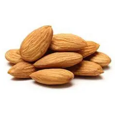 Badam SPL.